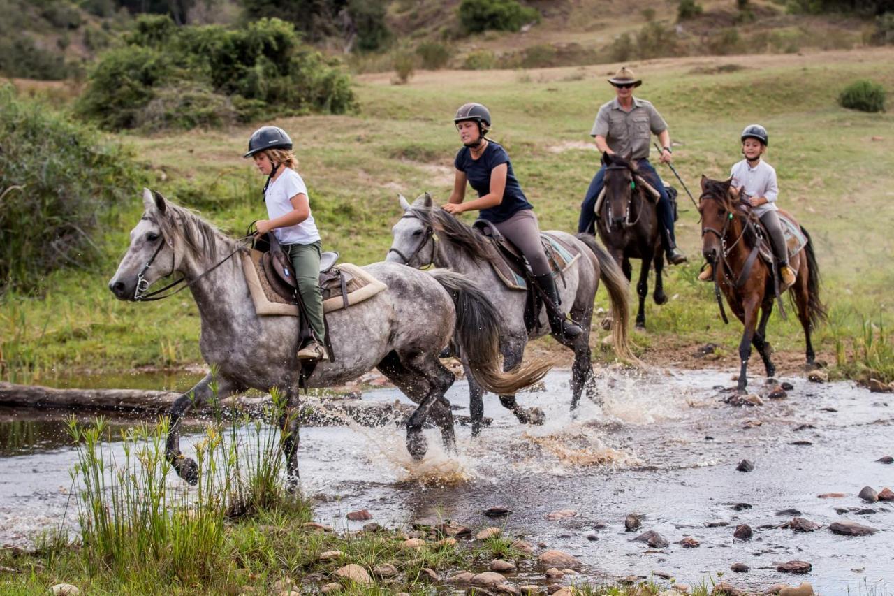 Botlierskop Private Game Reserve Reebok Εξωτερικό φωτογραφία