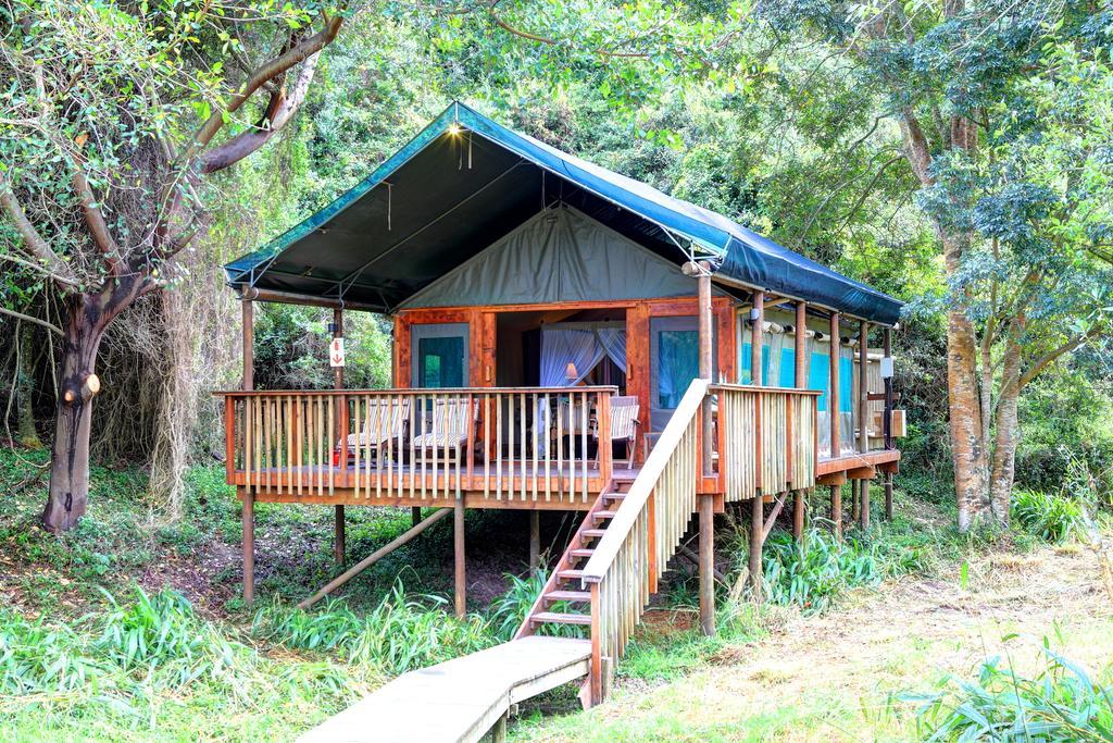 Botlierskop Private Game Reserve Reebok Δωμάτιο φωτογραφία