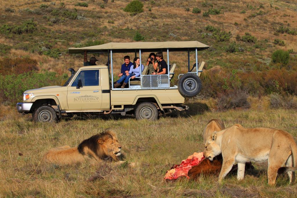 Botlierskop Private Game Reserve Reebok Εξωτερικό φωτογραφία