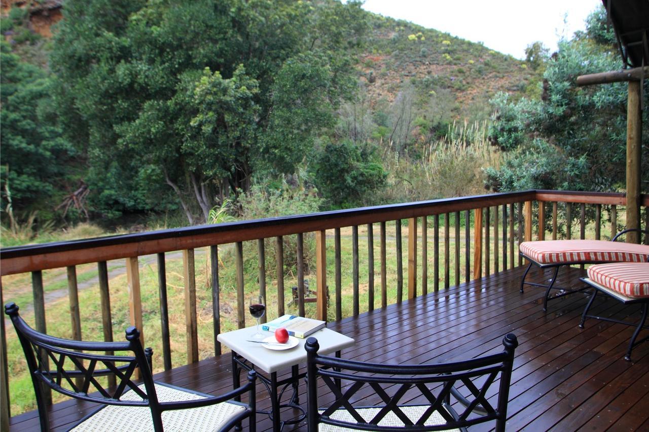 Botlierskop Private Game Reserve Reebok Εξωτερικό φωτογραφία